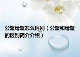公蟹母蟹怎么區(qū)別（公蟹和母蟹的區(qū)別簡介介紹）