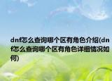 dnf怎么查詢哪個區(qū)有角色介紹(dnf怎么查詢哪個區(qū)有角色詳細(xì)情況如何)