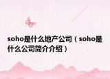 soho是什么地產(chǎn)公司（soho是什么公司簡介介紹）