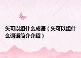 矢可以組什么成語（矢可以組什么詞語簡介介紹）