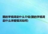 麗的字組詞是什么介紹(麗的字組詞是什么詳細(xì)情況如何)