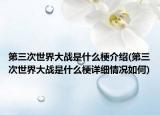 第三次世界大戰(zhàn)是什么梗介紹(第三次世界大戰(zhàn)是什么梗詳細(xì)情況如何)