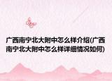 廣西南寧北大附中怎么樣介紹(廣西南寧北大附中怎么樣詳細(xì)情況如何)