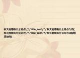 秋天的雨有什么特點(diǎn)