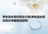 學(xué)生溺水責(zé)任劃分介紹(學(xué)生溺水責(zé)任劃分詳細(xì)情況如何)