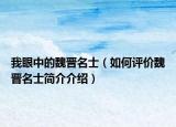 我眼中的魏晉名士（如何評價魏晉名士簡介介紹）