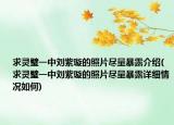 求靈璧一中劉紫璇的照片盡量暴露介紹(求靈璧一中劉紫璇的照片盡量暴露詳細(xì)情況如何)