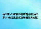 帕杰羅v33和獵豹的區(qū)別介紹(帕杰羅v33和獵豹的區(qū)別詳細(xì)情況如何)