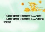 一夜城歌詞是什么意思是什么\