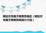 阿拉爾市屬于阿克蘇地區(qū)（阿拉爾市屬于阿克蘇嗎簡(jiǎn)介介紹）