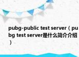 pubg-public test server（pubg test server是什么簡(jiǎn)介介紹）