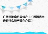 廣西河池南丹縣特產(chǎn)（廣西河池南丹有什么特產(chǎn)簡介介紹）