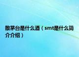 散茅臺(tái)是什么酒（smt是什么簡(jiǎn)介介紹）