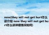 now(they will not get hurt怎么讀介紹 now they will not get hurt怎么讀詳細(xì)情況如何)