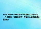 一只公雞和一只母雞猜三個(gè)字是什么動(dòng)物介紹(一只公雞和一只母雞猜三個(gè)字是什么動(dòng)物詳細(xì)情況如何)