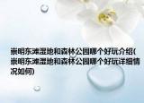 崇明東灘濕地和森林公園哪個好玩介紹(崇明東灘濕地和森林公園哪個好玩詳細(xì)情況如何)