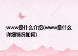 www是什么介紹(www是什么詳細(xì)情況如何)