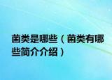 菌類是哪些（菌類有哪些簡(jiǎn)介介紹）