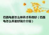 巴西龜要怎么樣養(yǎng)才養(yǎng)得好（巴西龜怎么養(yǎng)更好簡介介紹）