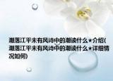 潮落江平未有風(fēng)詩中的潮讀什么★介紹(潮落江平未有風(fēng)詩中的潮讀什么★詳細情況如何)
