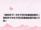 《駱駝祥子》中關于烈日和暴雨的描寫（駱駝祥子中關于烈日和暴雨的描寫簡介介紹）