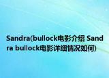 Sandra(bullock電影介紹 Sandra bullock電影詳細情況如何)