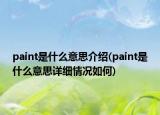 paint是什么意思介紹(paint是什么意思詳細情況如何)