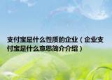 支付寶是什么性質(zhì)的企業(yè)（企業(yè)支付寶是什么意思簡介介紹）