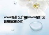 www是什么介紹(www是什么詳細(xì)情況如何)