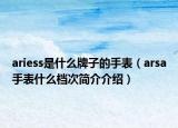 ariess是什么牌子的手表（arsa手表什么檔次簡(jiǎn)介介紹）