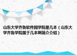 山東大學(xué)齊魯軟件園學(xué)院是幾本（山東大學(xué)齊魯學(xué)院屬于幾本啊簡(jiǎn)介介紹）