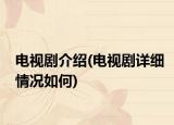 電視劇介紹(電視劇詳細(xì)情況如何)