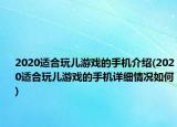 2020適合玩兒游戲的手機(jī)介紹(2020適合玩兒游戲的手機(jī)詳細(xì)情況如何)