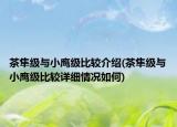 茶隼級與小鷹級比較介紹(茶隼級與小鷹級比較詳細情況如何)