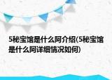 5秘寶館是什么阿介紹(5秘寶館是什么阿詳細(xì)情況如何)