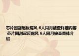 芯片圈刮起反腐風(fēng) 6人同月被查詳細(xì)內(nèi)容 芯片圈刮起反腐風(fēng) 6人同月被查具體介紹