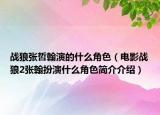 戰(zhàn)狼張哲翰演的什么角色（電影戰(zhàn)狼2張翰扮演什么角色簡介介紹）