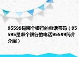 95599是哪個(gè)銀行的電話號(hào)碼（95595是哪個(gè)銀行的電話95599簡(jiǎn)介介紹）