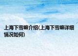 上海下雪嘛介紹(上海下雪嘛詳細(xì)情況如何)