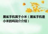 黑鯊手機(jī)屬于小米（黑鯊手機(jī)是小米的嗎簡介介紹）