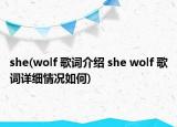 she(wolf 歌詞介紹 she wolf 歌詞詳細情況如何)