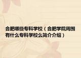 合肥哪些?？茖W校（合肥學院周圍有什么?？茖W校么簡介介紹）