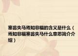 塞翁失馬焉知非福的含義是什么（焉知非福塞翁失馬什么意思簡介介紹）