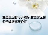贊美虎丘的句子介紹(贊美虎丘的句子詳細(xì)情況如何)