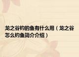 龍之谷釣的魚(yú)有什么用（龍之谷怎么釣魚(yú)簡(jiǎn)介介紹）