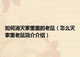 如何消滅家里面的老鼠（怎么滅家里老鼠簡介介紹）
