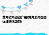 黃海波高圓圓介紹(黃海波高圓圓詳細(xì)情況如何)