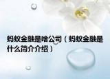 螞蟻金融是啥公司（螞蟻金融是什么簡介介紹）