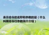表示命令的名稱和參數(shù)的是（什么叫做命令行參數(shù)簡介介紹）