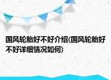 國風(fēng)輪胎好不好介紹(國風(fēng)輪胎好不好詳細(xì)情況如何)